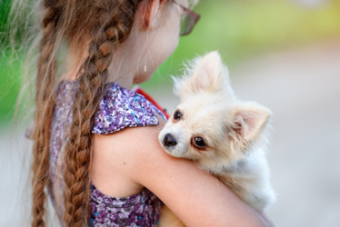 Similar image 21545631