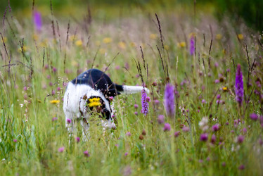 Similar image 21541345