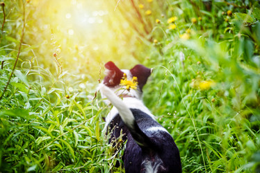 Similar image 21541347