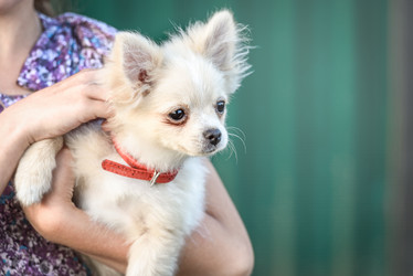 Similar image 21541701