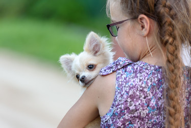 Similar image 21545789