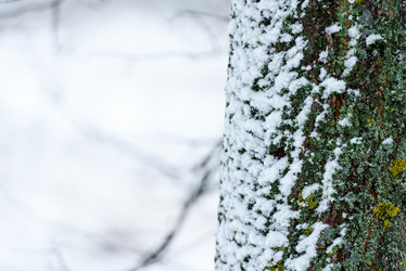 Similar image 21541703