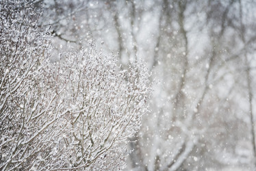 Similar image 21541708