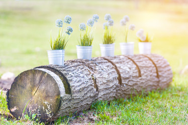 Similar image 21541712