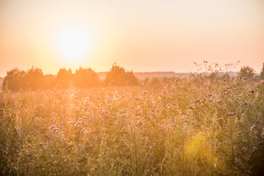 Similar image 21541605