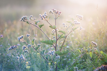 Similar image 21542046