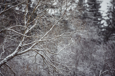 Similar image 21542047