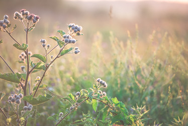 Similar image 21542048