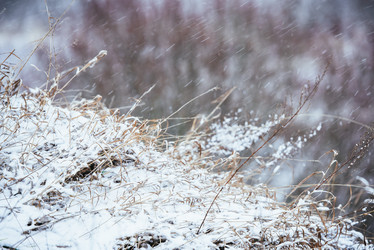 Similar image 21542054