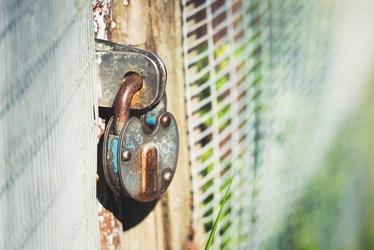 Similar image 21542066