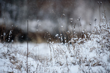 Similar image 21542067