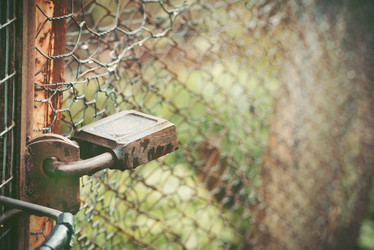 Similar image 21542079