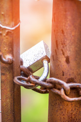 Similar image 21542084