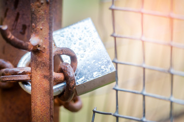 Similar image 21542086