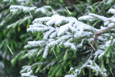 Similar image 21542087