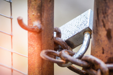 Similar image 21542090