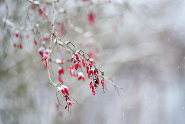 Similar image 21542094