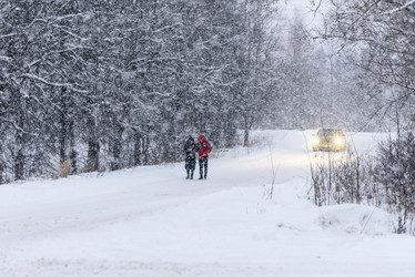 Similar image 21544959