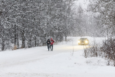 Similar image 21544961