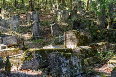 Similar image 21544964