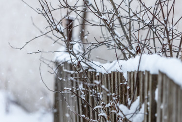 Similar image 21540388