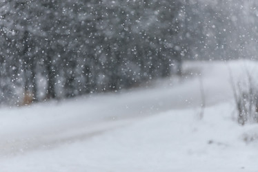 Similar image 21540390