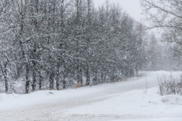 Similar image 21540392