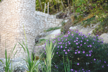 Similar image 21541349