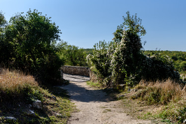 Similar image 21546116