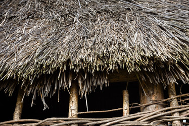 Similar image 21546117