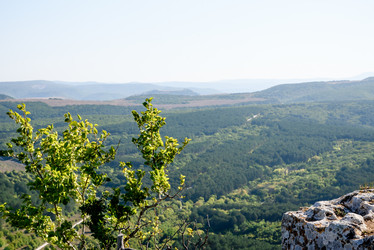 Similar image 21546405