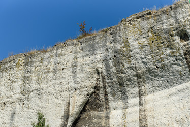 Similar image 21545397