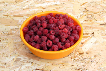 Similar image 21539437