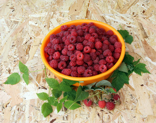 Similar image 21539438