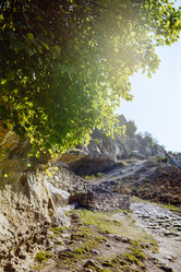 Similar image 21541754