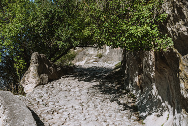 Similar image 21542103