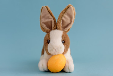 Similar image 21542104