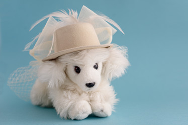 Similar image 21546122