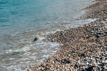 Similar image 21546419