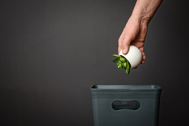 Similar image 21545402