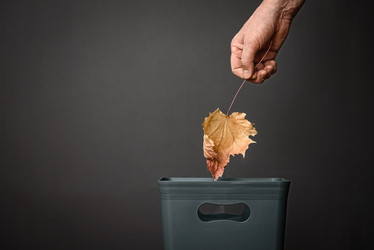 Similar image 21545403