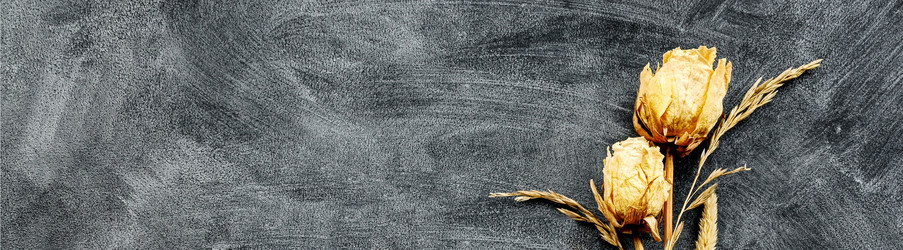 Similar image 21545662