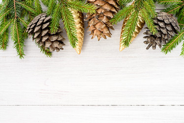 Similar image 21545792