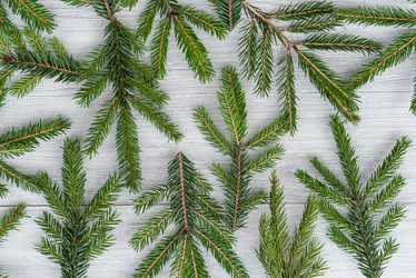 Similar image 21540185