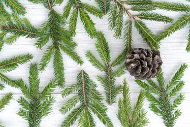 Similar image 21540188