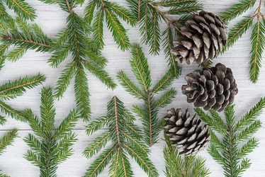 Similar image 21540190