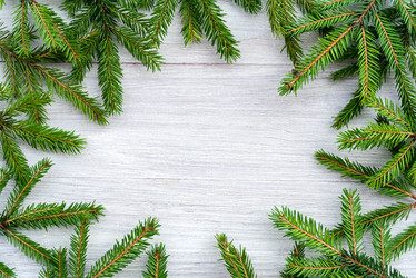 Similar image 21540196