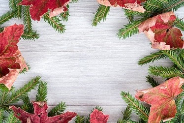 Similar image 21540198