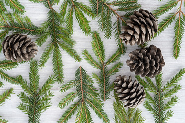 Similar image 21540200