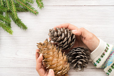 Similar image 21540201